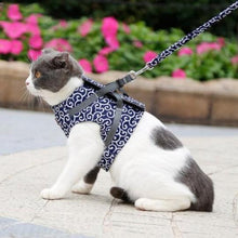 Load image into Gallery viewer, Donut Paw™ Cat Harness And Leash
