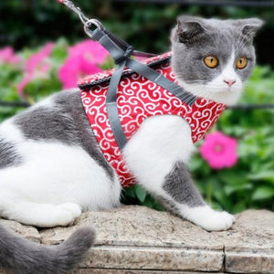 Donut Paw™ Cat Harness And Leash