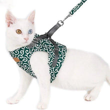 Load image into Gallery viewer, Cat Vest Harness and Leash Set to Outdoor Walking
