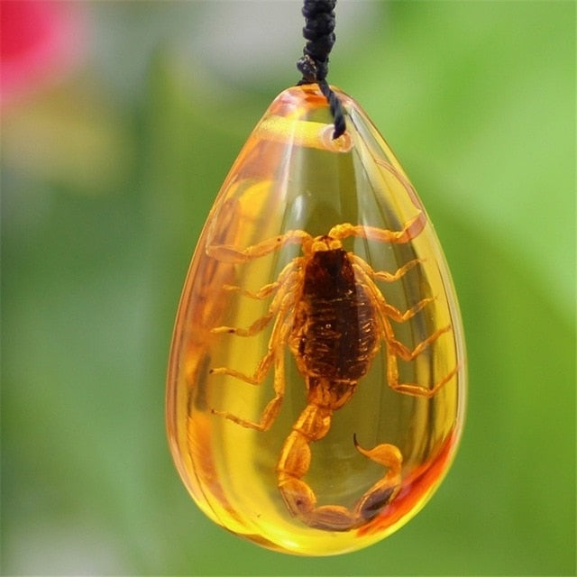 Natural Insect Stone Necklace （special gift）