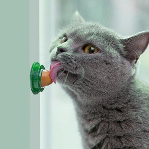 Cat Catnip Healthy Cat Snacks Catnip Sugar Candy Licking Solid Nutrition Gel Energy Ball Toy for Cat Increase Drinking Water