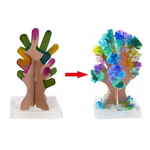 Growing Tree Toy Mini Wish Tree Blooming Magic tree